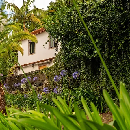 Casas Da Terca - Modern Comfort In Traditional Set Within 300sqm Of Private Gardens To Explore Daire Tabua (Madeira)