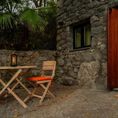 Daire Casas Da Terca - Modern Comfort In Traditional Set Within 300sqm Of Private Gardens To Explore