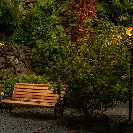 Casas Da Terca - Modern Comfort In Traditional Set Within 300sqm Of Private Gardens To Explore Tabua (Madeira)