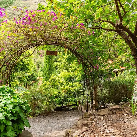 Apartment Casas Da Terca - Modern Comfort In Traditional Set Within 300sqm Of Private Gardens To Explore Tabua (Madeira)